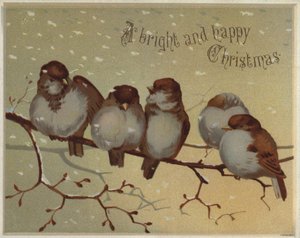 Spurver som sitter på en gren i snøen (chromolitho) av English School