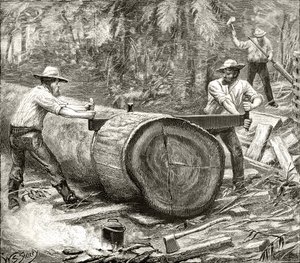 Splitters in the Bush, ca. 1880, fra 