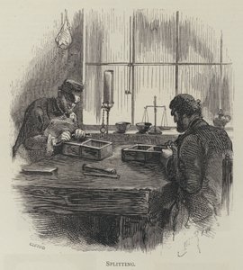Splitting av English School