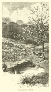 Spring, Richmond Park av English School