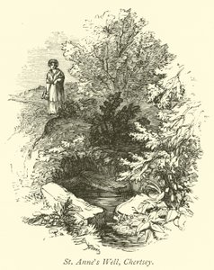 St Annes Vel, Chertsey av English School