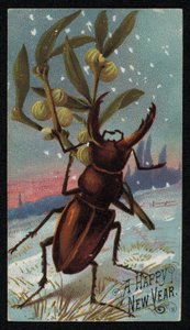 Hjortebille som bærer misteltein i en vinterscene, julehilsenskort (chromolitho) av English School