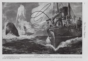 Dampbåt brukt som hvalfangstskip (gravering) av English School