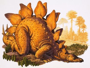 Stegosaurus (gouache på papir) av English School