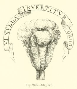 Stephen av English School