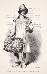 Gateselger av fuglereir, illustrasjon fra London Labor og London Poor av Henry Mayhew, pub. 1862 av English School