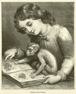 Naturgeschichte studieren (Gravur)