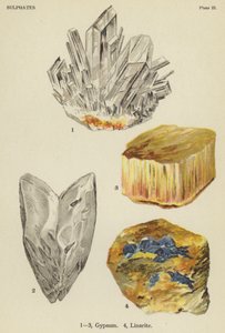 Sulfater, gips, linaritt (farge litho) av English School