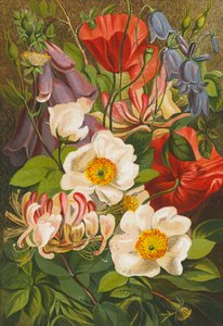 Sommerblomster (fargelitografi) av English School