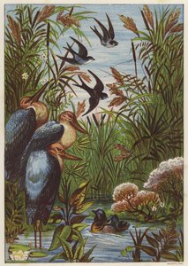 Sommermorgen med fugler (farge litho) av English School