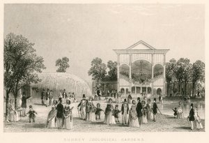 Surrey Zoological Gardens, Kennington, London: det nye orkesteret av English School
