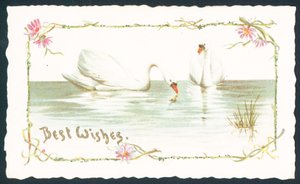 Swans on Lake, julekort av English School