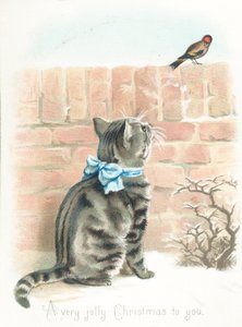 Tabby Cat ser på Finch på veggen, julekort av English School