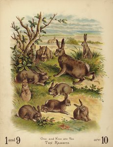 Ti kaniner (chromolitho) av English School