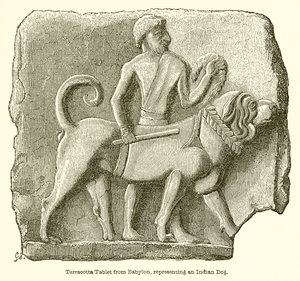 Terracotta-nettbrett fra Babylon, som representerer en indisk hund av English School