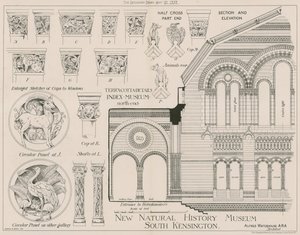Terrakottadetaljer fra det nye Natural History Museum, South Kensington av English School
