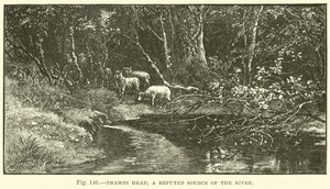 Thames Head, eine angebliche Quelle des Flusses von English School