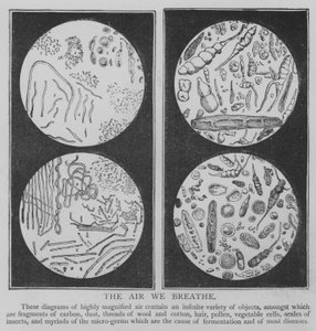 The Air We Breathe (gravering) av English School