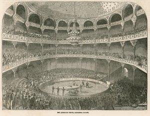 The American Circus på Alhambra Palace (Alhambra Theatre), Leicester Square, London av English School