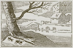 Mauren og fluen (gravering) av English School