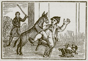 Der Esel und der kleine Hund