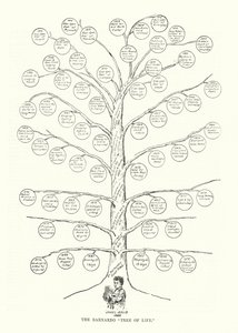 Barnardo "Livets tre" (litografi) av English School