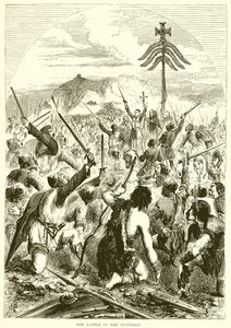 Battle of the Standard