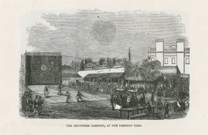 Belvidere-hagene av English School