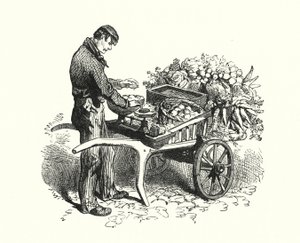 The Costermonger (gravering) av English School
