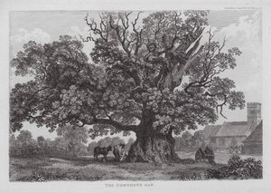 The Cowthope Oak (gravering) av English School