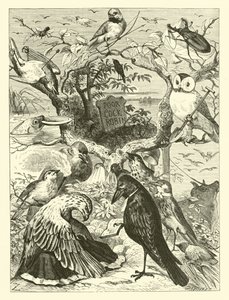 Cock Robins død og begravelse av English School