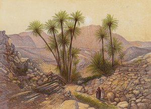 Sinai-ørkenen (fargelitografi) av English School