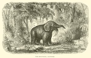 Der Dinotherium, restauriert (Gravur) von English School