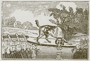 Hunden og skyggen (gravering) av English School