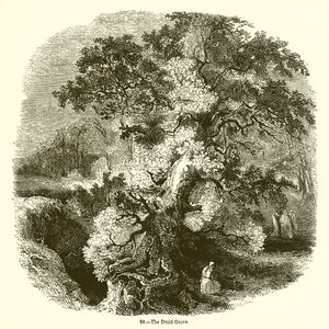Druidelunden av English School