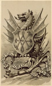 The Emblem of Wales (litho) av English School