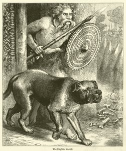 Den engelske mastiffen (gravering) av English School