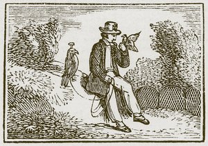 Falconer og rapphønsen (gravering) av English School