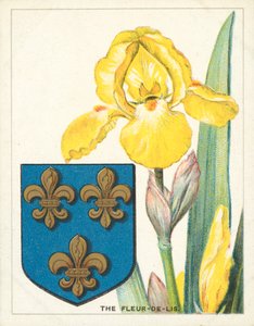 The Fleur-de-lis (chromolitho) av English School