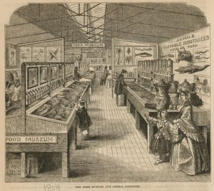 Matmuseet og dyreprodukter, South Kensington Museum av English School