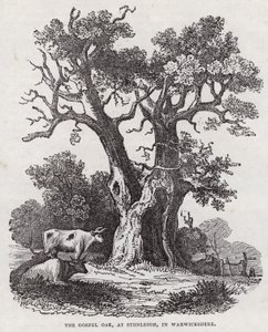 The Gospel Oak, Stonleigh, Warwickshire (gravering) av English School