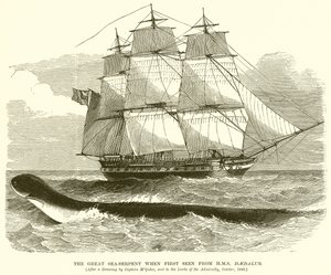 Die große Seeschlange, als sie zum ersten Mal von der H.M.S. Daedalus gesehen wurde von English School