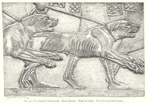 Assurbanipals hunder. British Museum (gravering) av English School