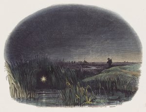 Ignis-Fatuus, eller Will-o