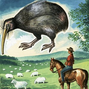 Kiwi, New Zealands emblem av English School
