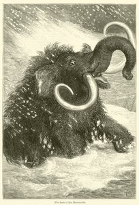 The Last of the Mammoths (gravering) av English School