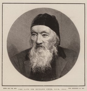 Den avdøde Sir Richard Owen, KCB, FRS (gravering) av English School