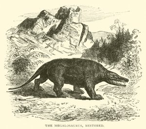 Megalosaurus, restaurert (gravering) av English School