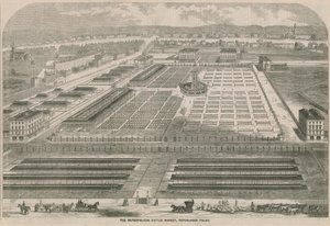 Metropolitan Cattle Market, Copenhagen Fields, London
