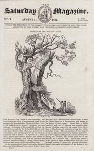Nannau Oak (gravering) av English School